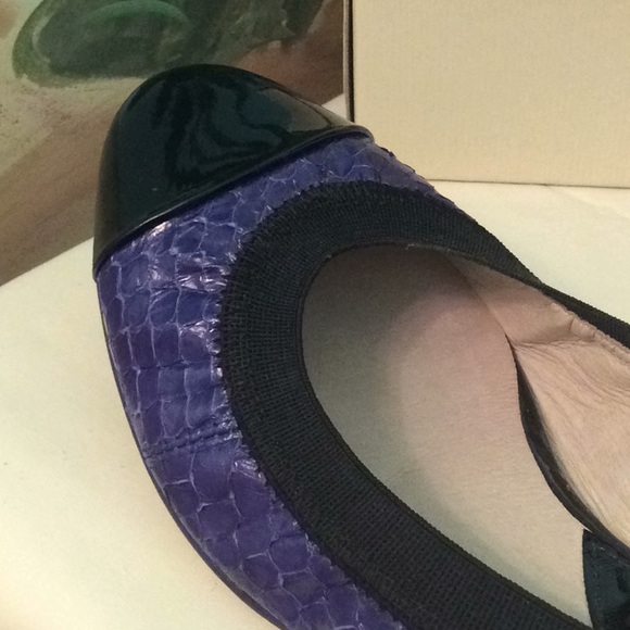 Ballerina Purple & Black Slip Ons by ALL BLACK - Picture 7 of 8